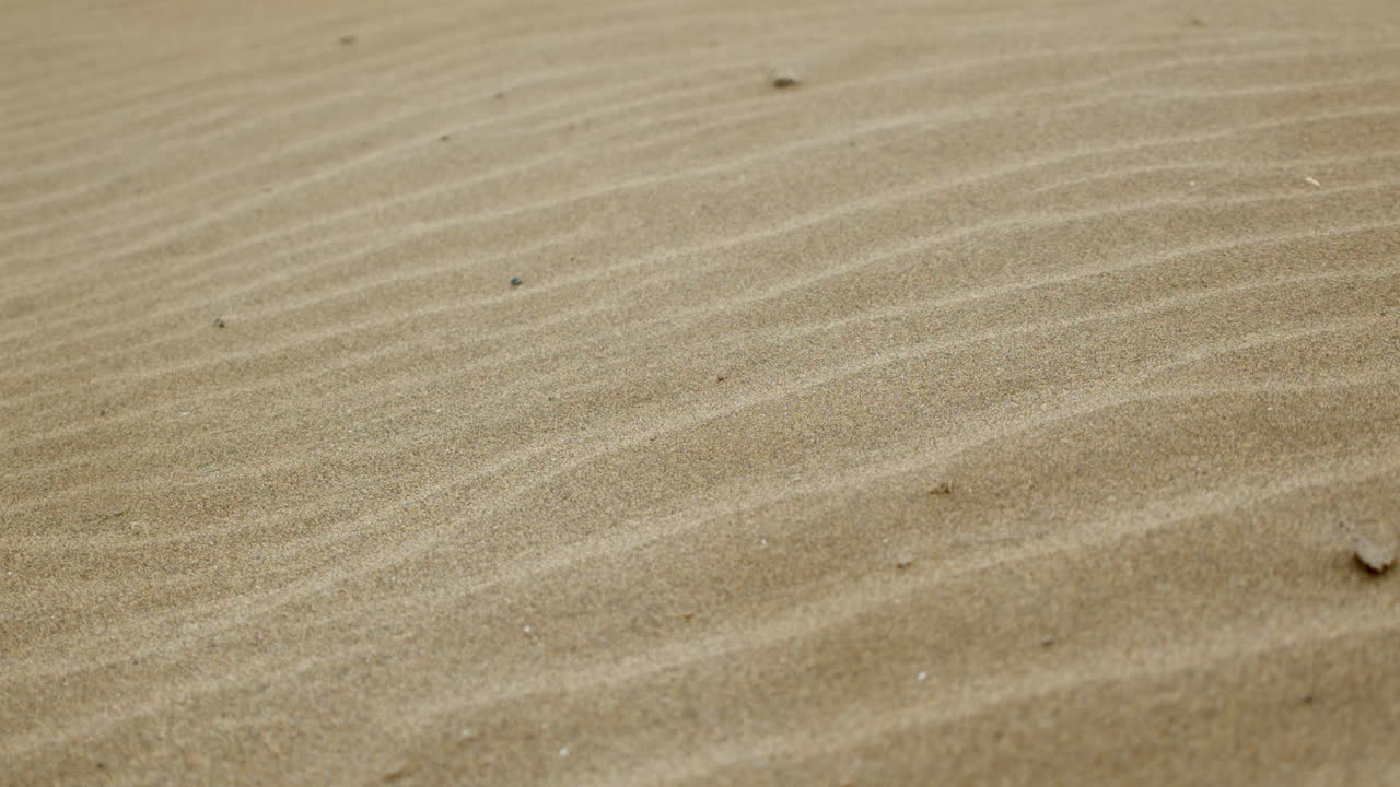 모래 언덕의 자연적인 파동 패턴