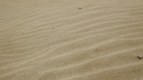 natural wave pattern on dune sand