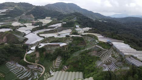 general landscape view of the brinchang district within the cameron highlands area of malaysia