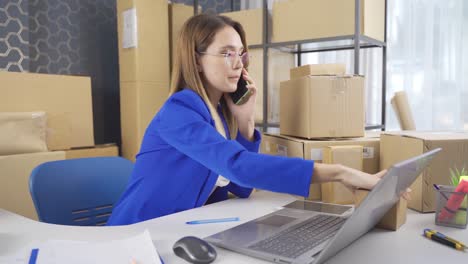 Empresaria-Emprendedora-Vendiendo-En-Línea-Y-Revisando-Paquetes-De-Carga.