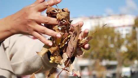 woman picking up autumn leaves