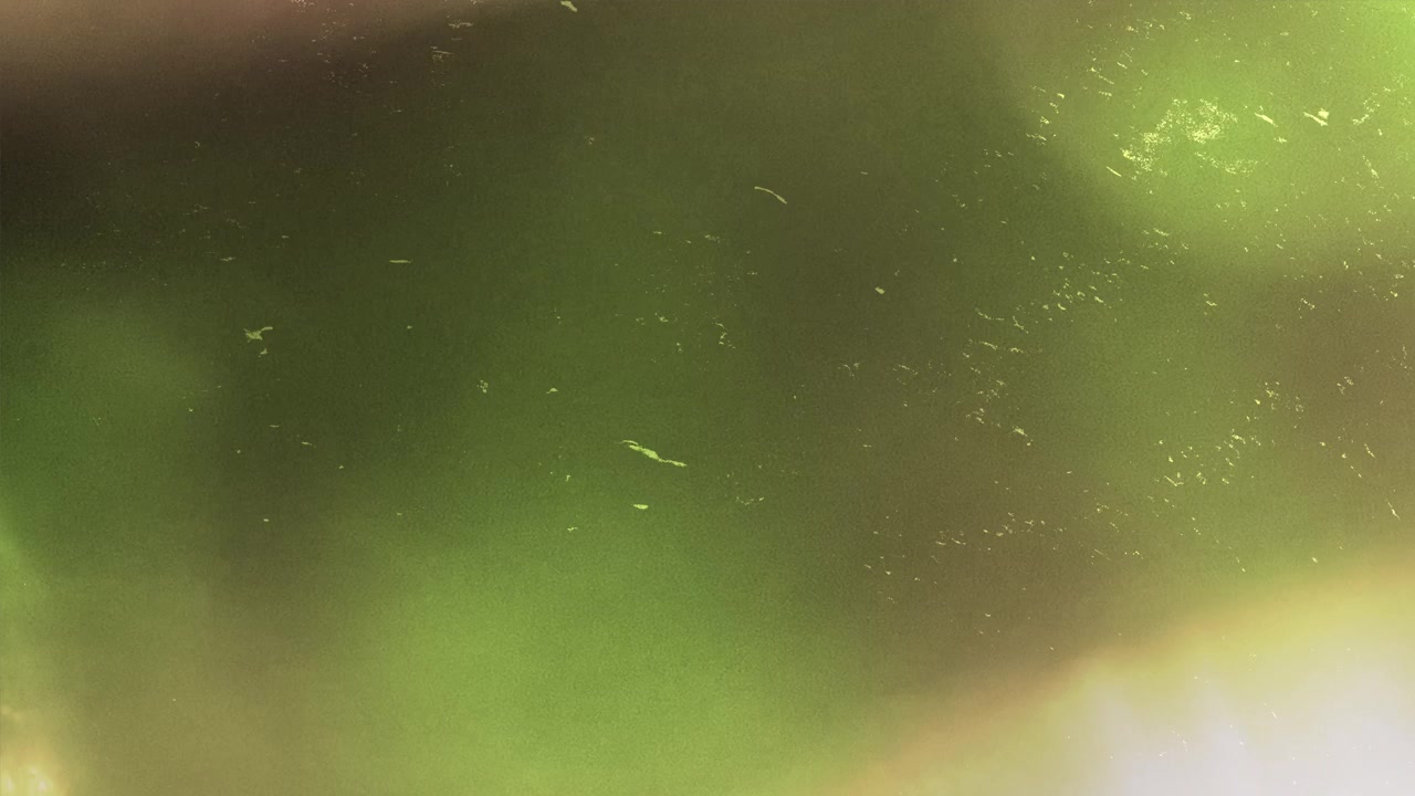 Abstract Green and Dark Light Leaks Overlay