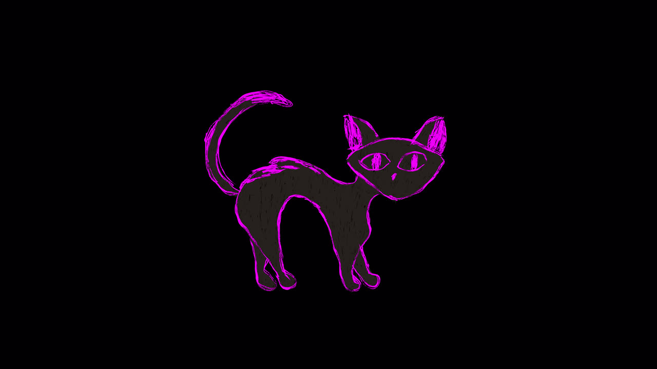 Gato Animado com Contorno Neon Rosa em Fundo Preto