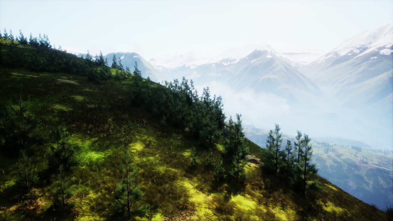 vista aérea de la colina cubierta de hierba con árboles y montañas