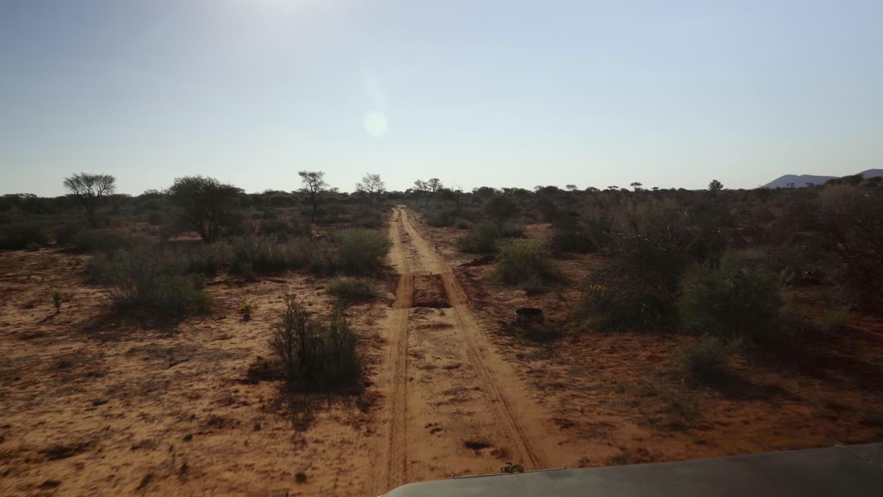Safari drive on dirt road through african bush