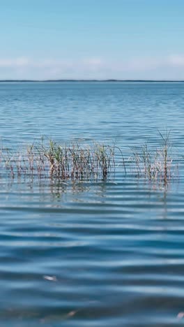 serene lakeside scene