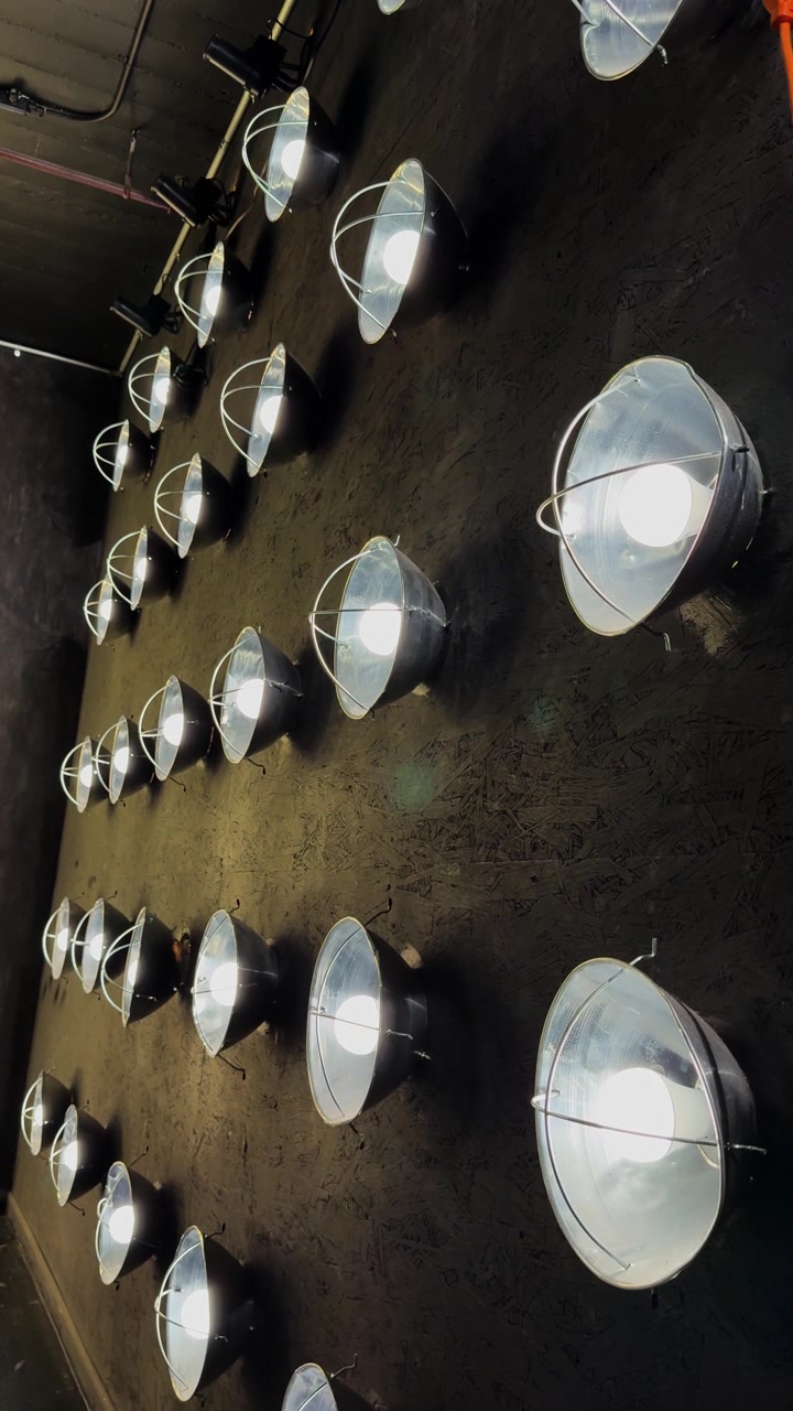 Rows of industrial metal light fixtures illuminate a dark textured studio wall