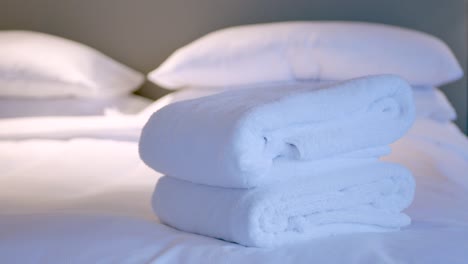 il servizio di pulizia della casa dell'hotel porta gli asciugamani nella camera da letto