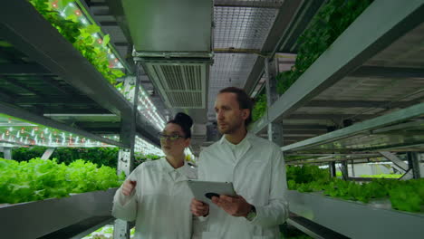 los agricultores modernos del futuro monitorean el crecimiento de las plantas y cultivan productos naturales puros y no modificados en granjas verticales con hidropónica.