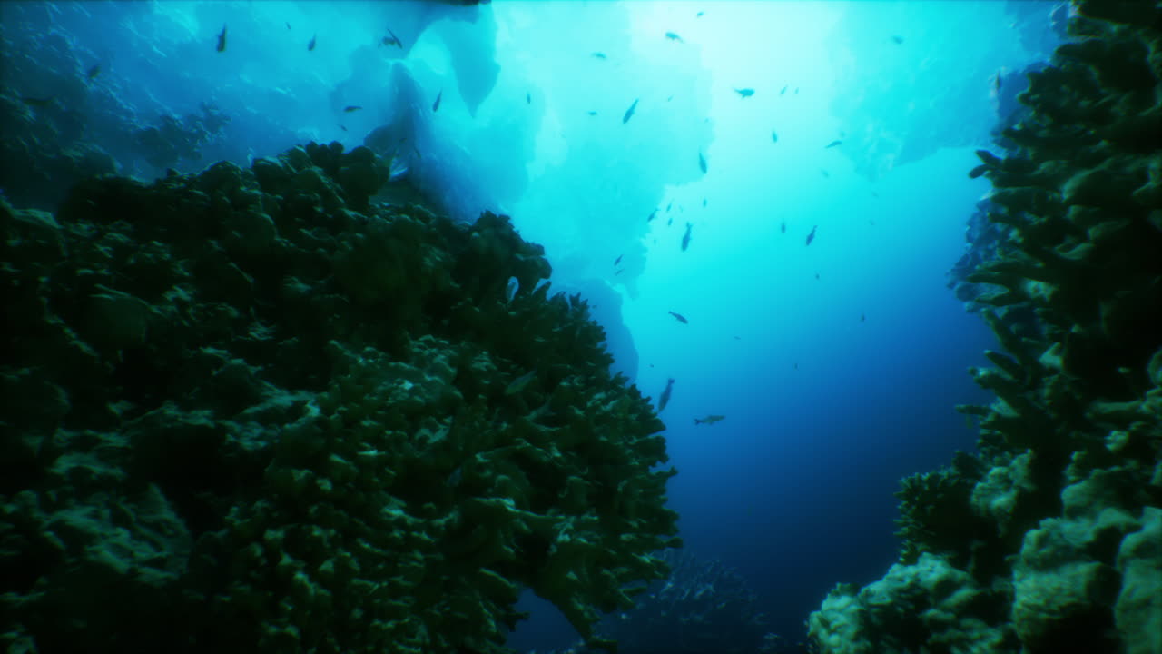 explorando una vibrante cueva de arrecife de coral submarino