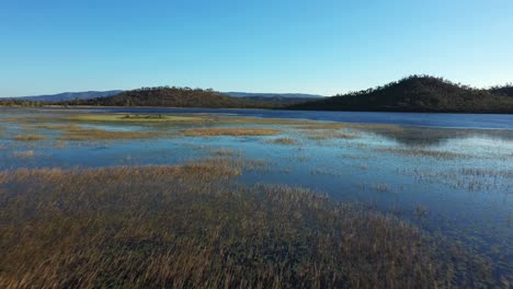 Cairns---Low-Flight-over-Swamp