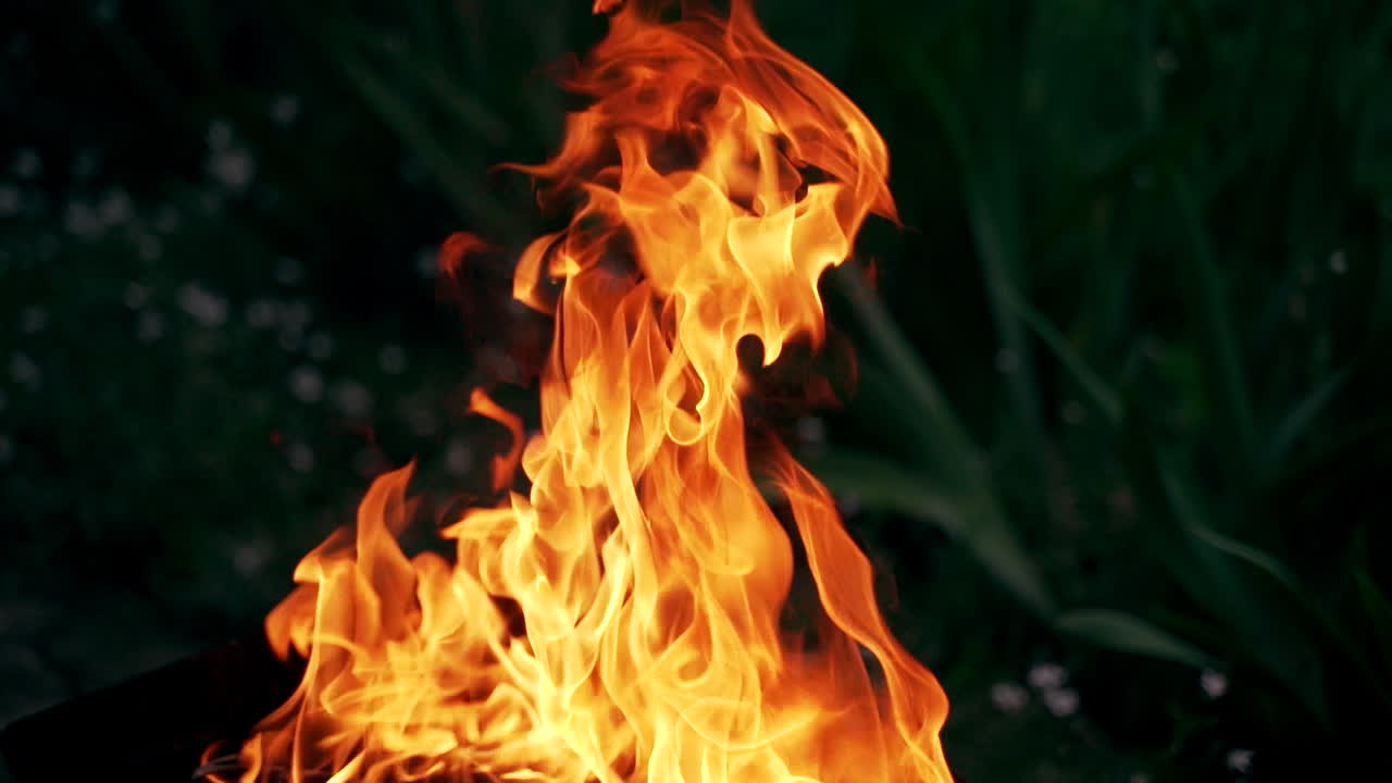 A burning bonfire on vacation during a hike in the forest. Divorced for cooking and for keeping warm in the cold evening.