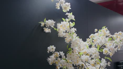 elegant white faux cherry blossoms contrasted against a sleek black backdrop