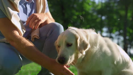 Schöner-Mann,-Der-Den-Glücklichen-Golden-Retriever-Streichelt.-Besitzer-Trainierender-Hund-Gibt-Pfote-Im-Park