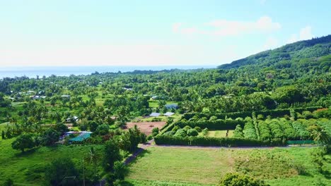 Die-Flugreise-Einer-Drohne-Fängt-Die-üppige-Tropische-Vegetation-Des-Ländlichen-Rarotonga-Und-Die-Fernen,-Malerischen-Ausblicke-Auf-Das-Meer-Ein