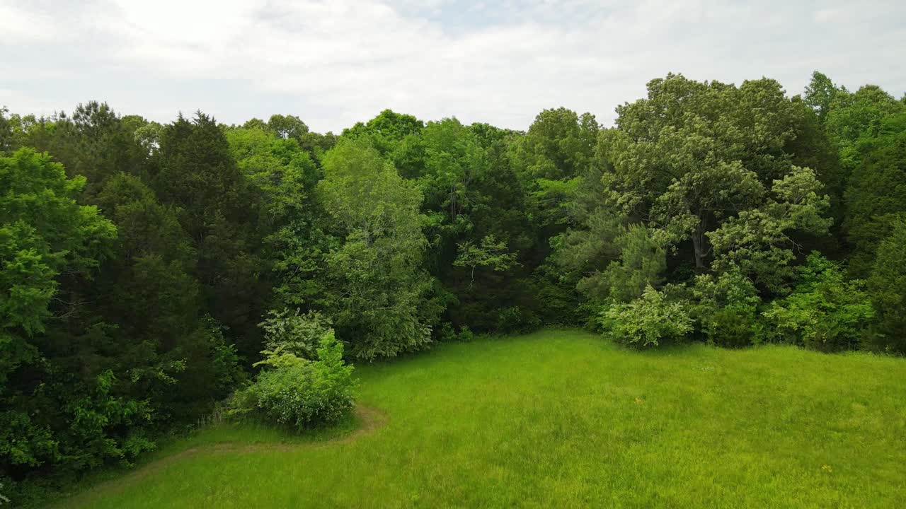 Flying through and over trees in the country on a windy day