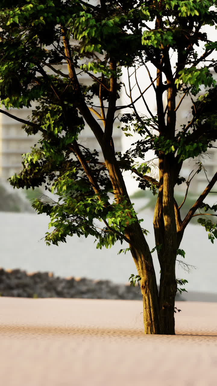 A large green tree with thick trunk stands alone on a grassy ground in front of a blurred city background