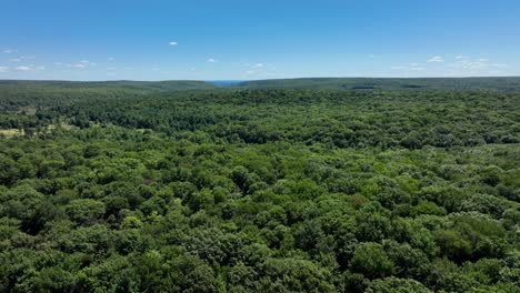 An-aerial-view-of-the-beautiful-green-forests-of-northern-Pennsylvania-in-the-Appalachian-foothills