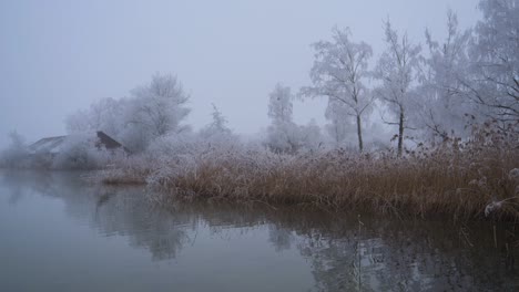 it is deep winter and the trees are frozen and everything is white. there is thick fog at the lake and makes it mystical. the reeds make the landscape exciting. the water is still in winter wonderland