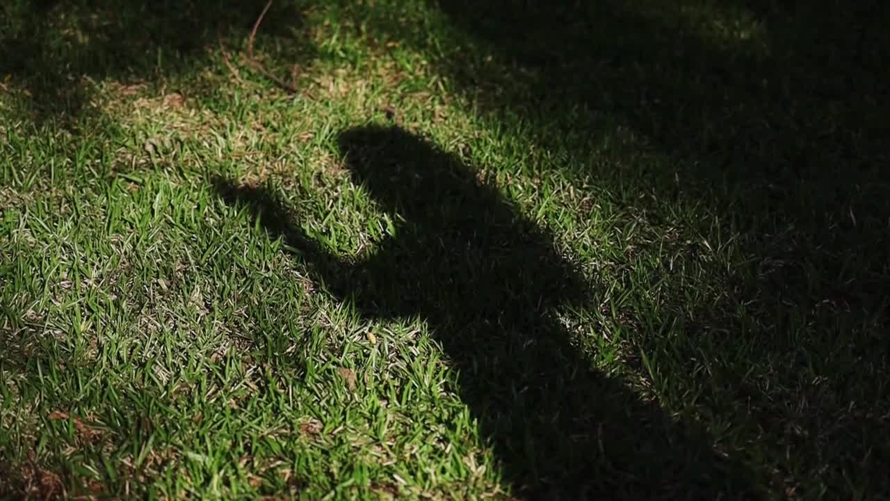 Close up of womans shadow on lawn, clapping flamenco dancing. Slomo
