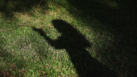 close up of womans shadow on lawn, clapping flamenco dancing. slomo
