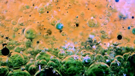 bubbles in oil and water with ink behind glass