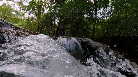 close-up slow motion of water cascading over rocks in a forest stream, highlighting natural texture, fluid motion, and the peaceful ambiance of a tropical woodland setting
