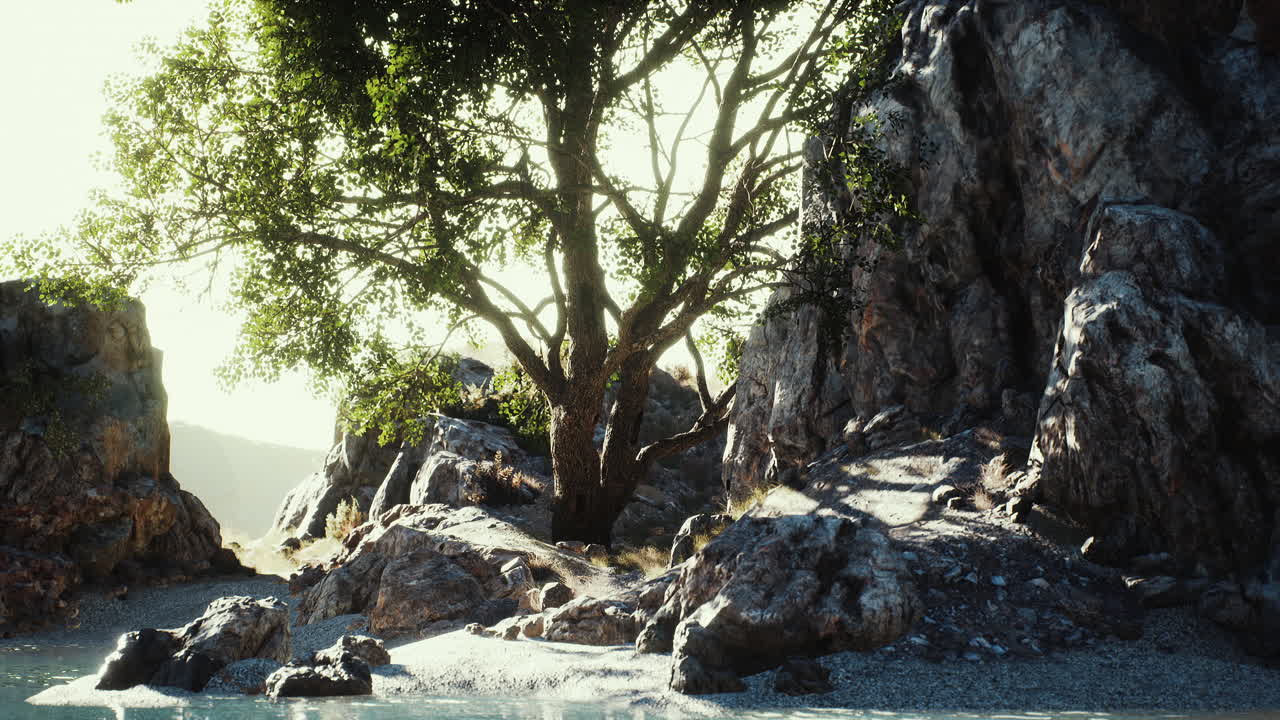 나무 가 있는 해변 에 있는 아름다운 산 바다 절벽