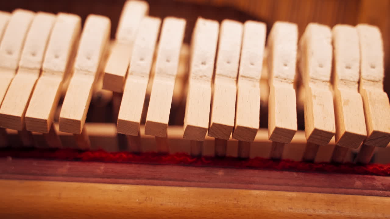 Piano play. The mechanism of the piano works. How does the piano.