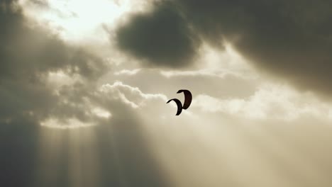 Mystic-shadowy-kites-in-front-of-clouds,-moving-slowly-on-sky-which-is-flooded-by-sunlight-beaming-through-dark-clouds