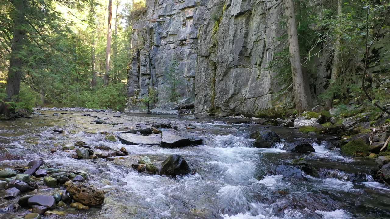 Strømfald over glatte mosklædte sten i et flodløb i skoven