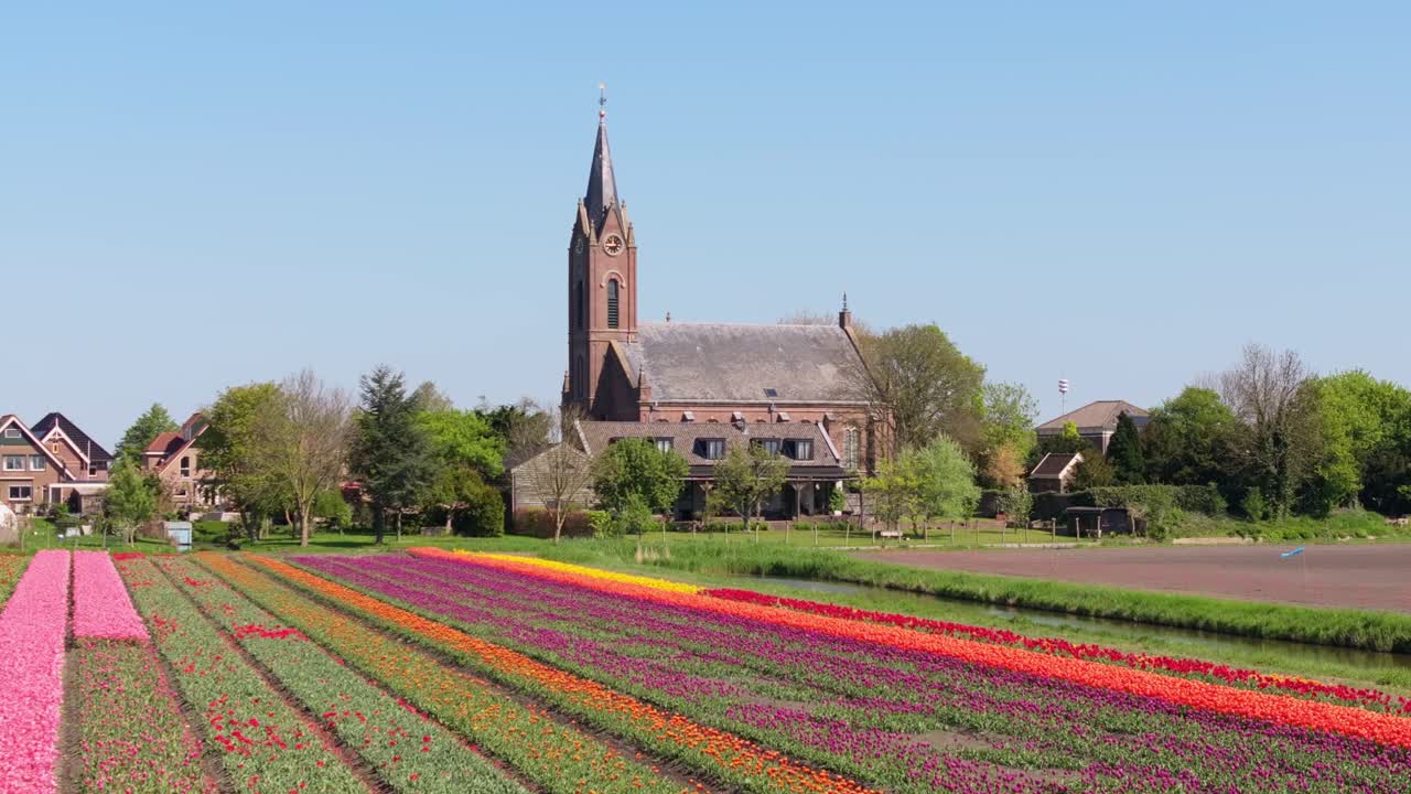 Luftfoto av nederlandsk kirke i Berkhout ved siden av vårens tulipanåkre