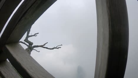 Barren-tree-growing-on-a-cliff-of-famous-and-sacred-Tianmen-mountain-covered-in-fog,-Zhangjiajie-National-Park,-China