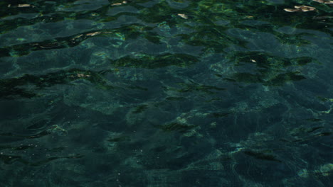 woman swimming backstroke