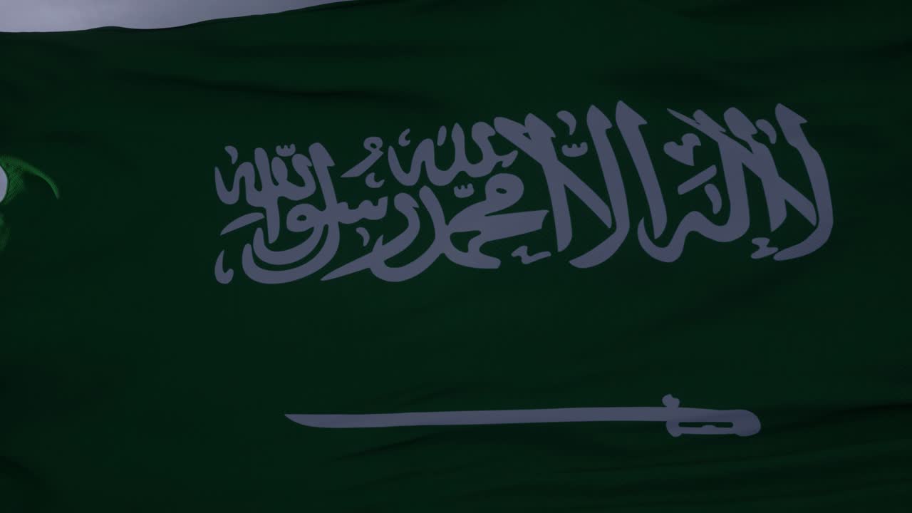 바람에 흔들리는 사우디 아라비아 발. 현실적인 발 배경. 천둥 구름 배경