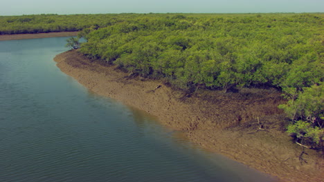 Cerrar-Vuelo-Aéreo-Sobre-Arbustos-Y-árboles-A-Lo-Largo-De-Las-Costas,-Ríos