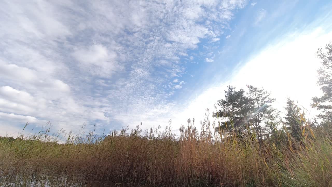 풀 위의 하늘에서 구름이 굴러가는 시간 경과