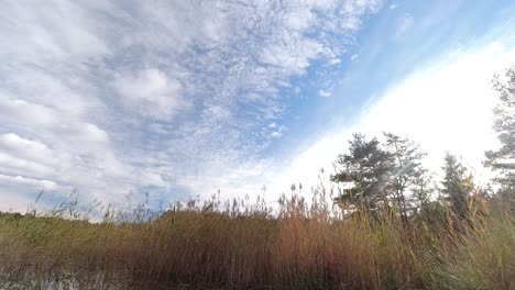 Lapso-De-Tiempo-De-Nubes-Rodando-En-El-Cielo-Sobre-Un-Campo-De-Hierba