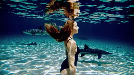 woman swimming with sharks underwater