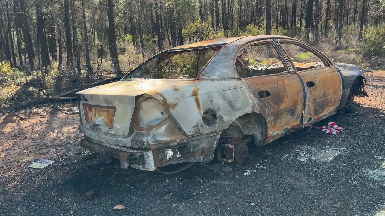 Carrellata di una berlina arrugginita e danneggiata dal fuoco, abbandonata nella foresta di Goonoo, Nuovo Galles del Sud, Australia