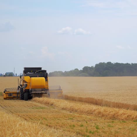 combine harvester at work harvesting a field of wheat. agricultural machinery theme