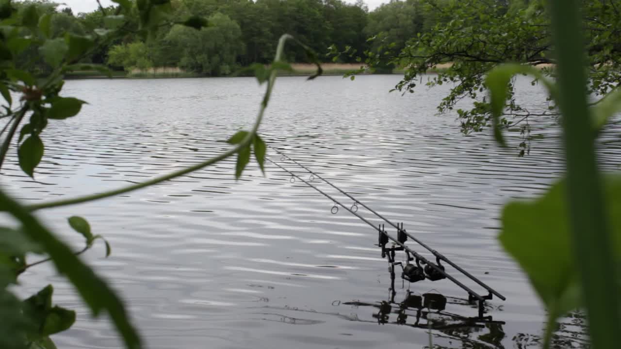 Fishing rods in the Water