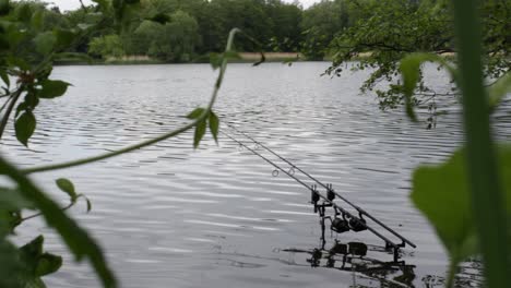 fishing rods in the water