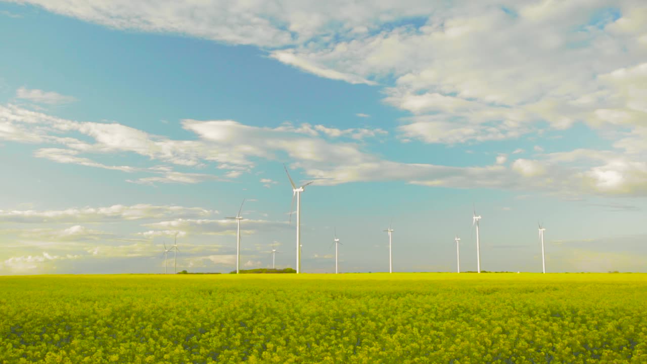 Flowering Canola Fields With Wind Turbines And Beautiful Sky On The Background In Zlotoryja, Poland.  - wide shot