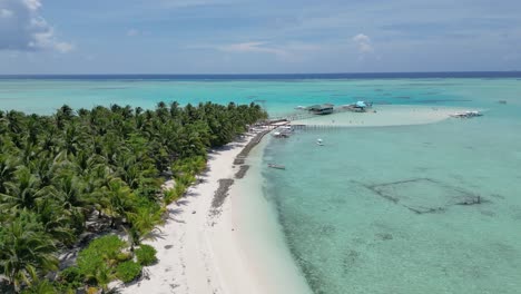 aerial dolly along white sandy beach and coconut palm tree coastline of balabac island