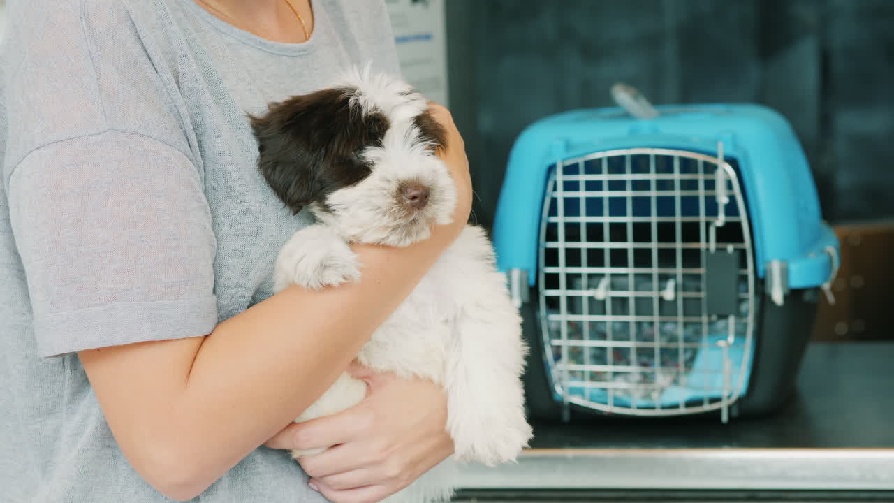 여자는 애완동물 캐리어 옆에 강아지를 안고 있다