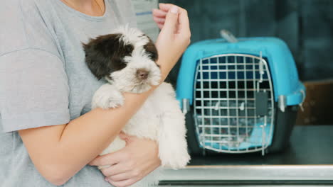 Woman-Holds-Puppy-by-Pet-Carrier