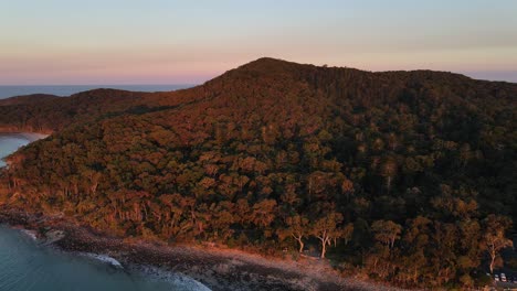 sunset over the lush forest of noosa national park -sunshine coast qld australia