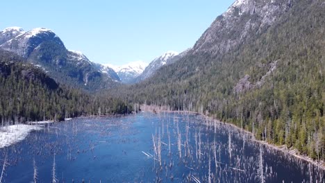 Drone-View-of-a-Flooded-Forest-and-Snow-Capped-Mountains-at-Snag-Lake-Spire-Lake-on-Vancouver-Island,-Canada