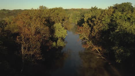 k drone river through woods morning fly over